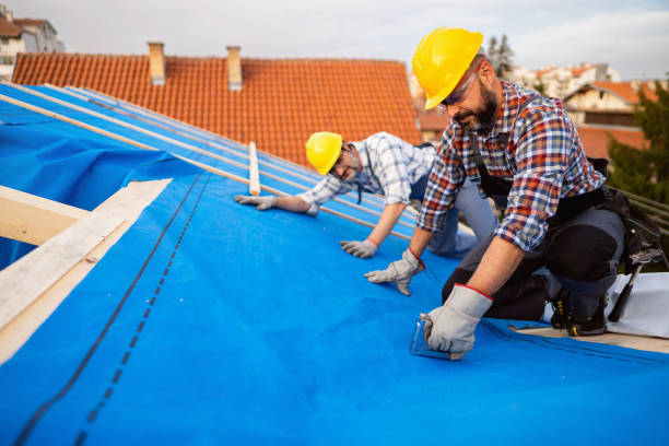 Best Roof Maintenance Services  in Ivins, UT